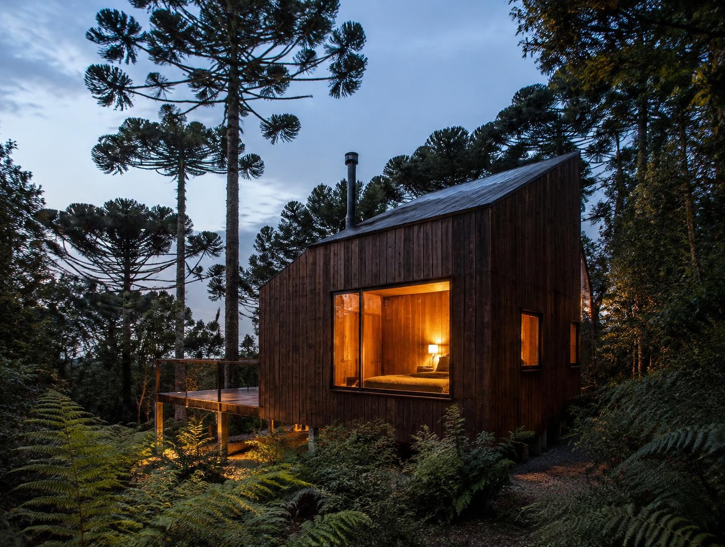 Casa Cedro ao entardecer: volume de madeira escura com janela iluminada entre araucárias e samambaias